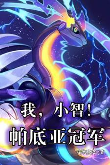 宝可梦:小智终站在白银山之巅!